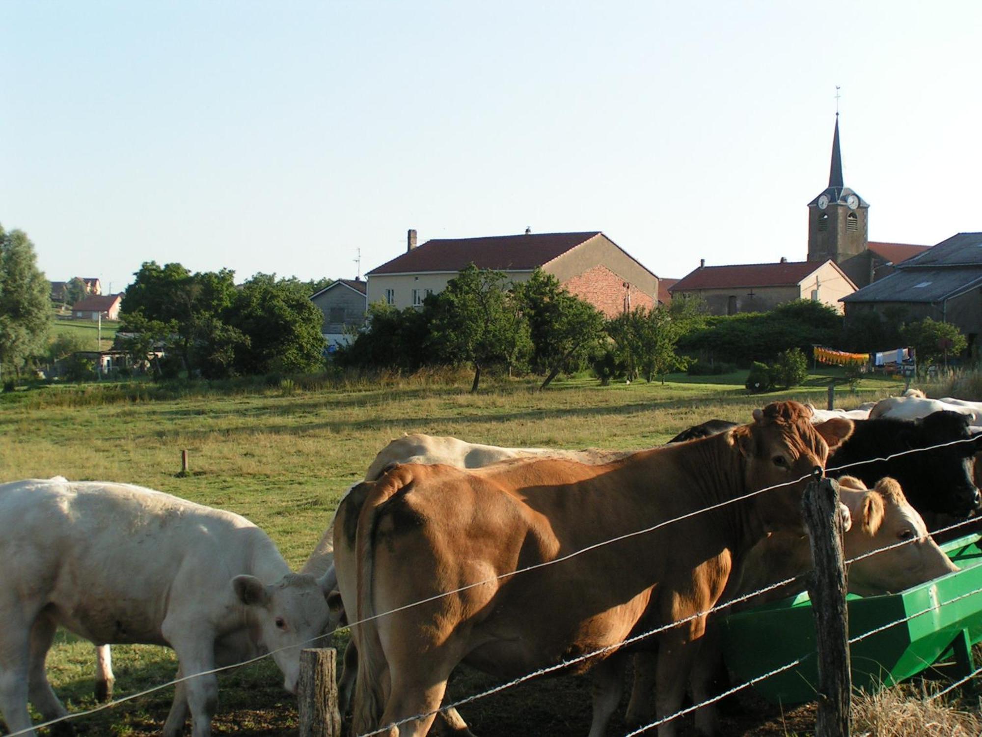 Chambres D'Hotes Au Presbytere Racrange Buitenkant foto